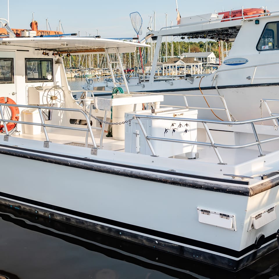 Charter boats moored alongside the marina docks.