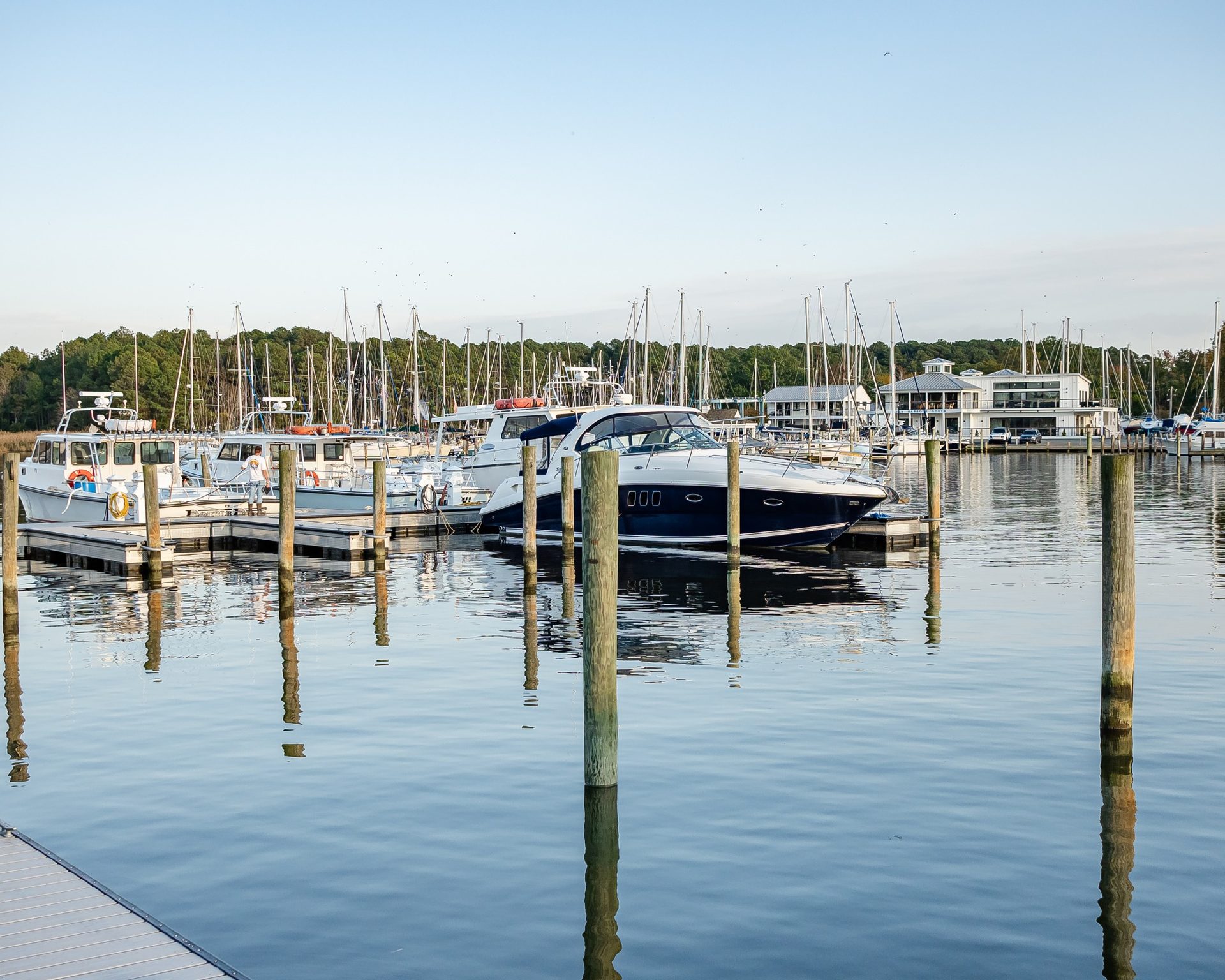 Arrive by water, dock, and dine