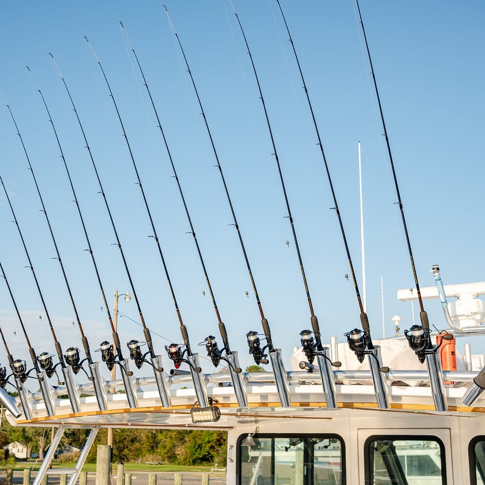 Fishing rods aboard a charter boat.