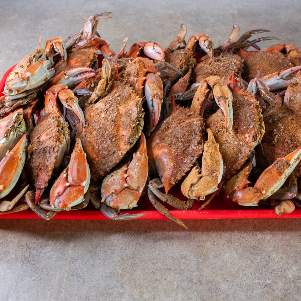 A tray of seasoned steamed Maryland blue crabs.