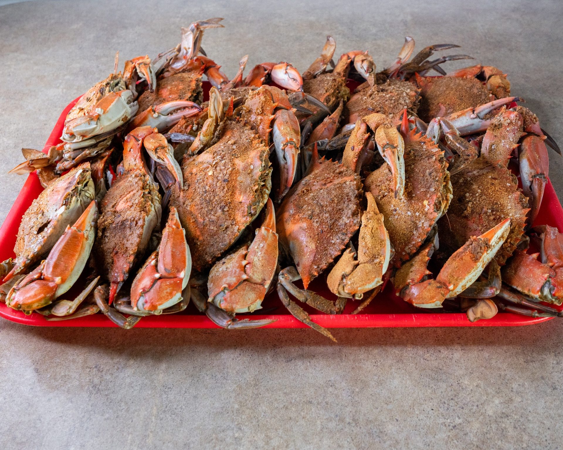 Steamed Maryland crabs