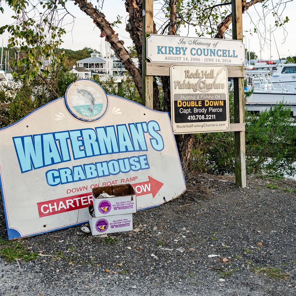 Waterman's Crab House and Rock Hall Fishing Charters signs.
